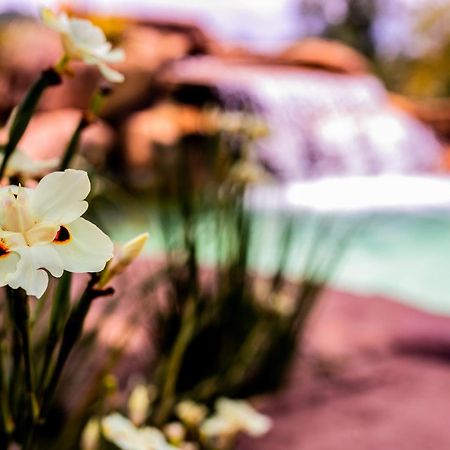 Hotel Fazenda Horizonte Belo Brumadinho Bagian luar foto