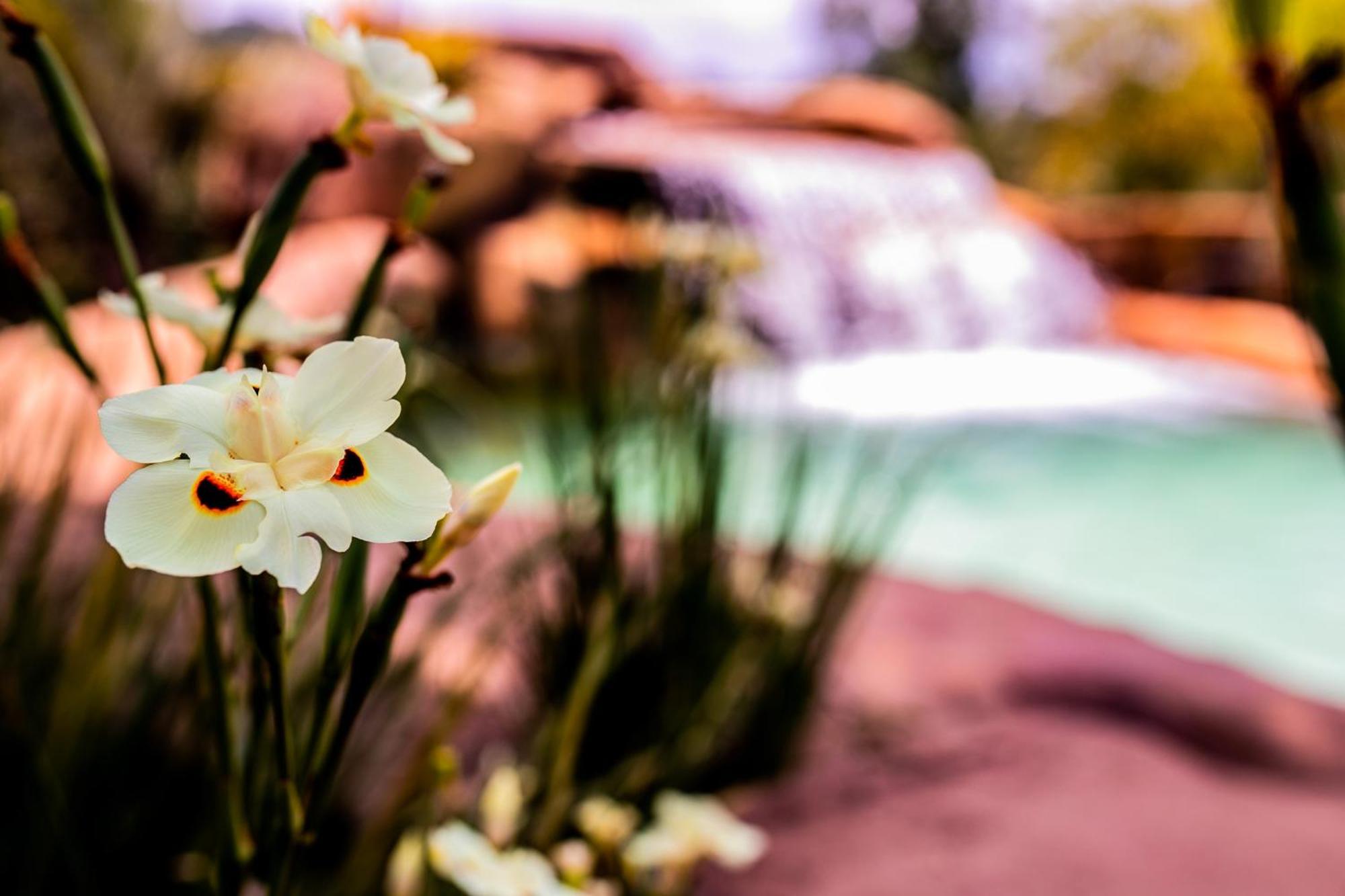 Hotel Fazenda Horizonte Belo Brumadinho Bagian luar foto